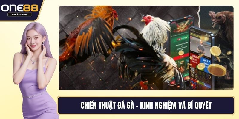 Chiến thuật đá gà