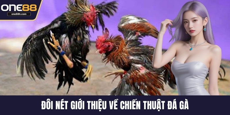 Đôi nét giới thiệu về chiến thuật đá gà